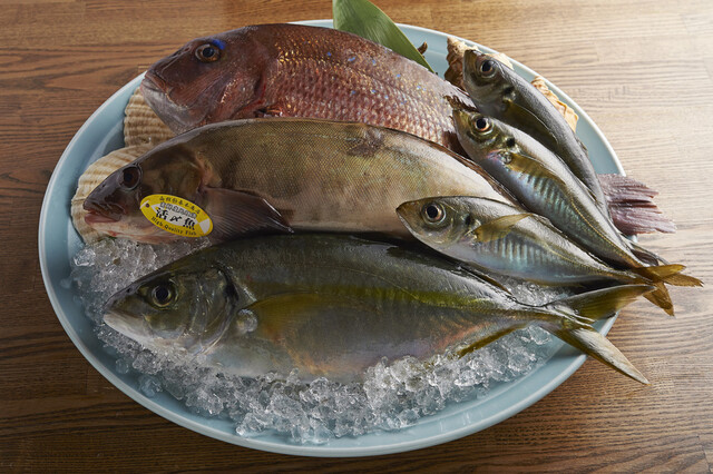 鮮魚